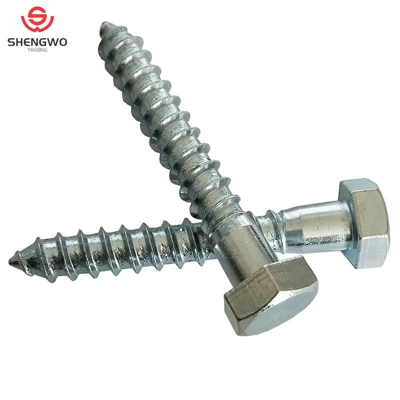 Hex Head Lag Screw view 2